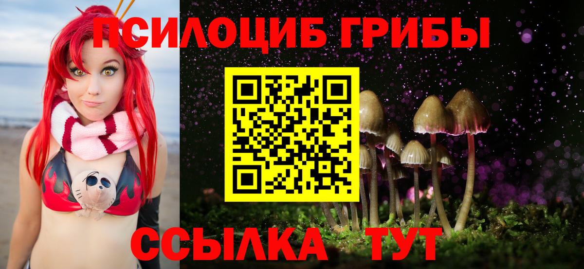 Галлюциногенные грибы MAGIC MUSHROOMS  Псилоцибиновые грибы мицелий  Трёхгорный  Вход с VPN 