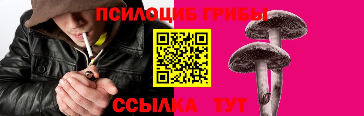 Галлюциногенные грибы GOLDEN TEACHER Трёхгорный